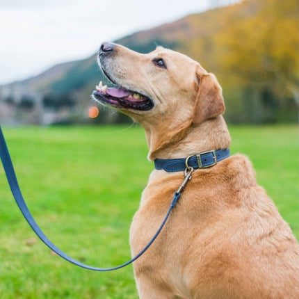 Timberwolf Leather Lead