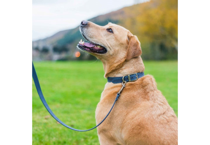 Timberwolf Leather Lead