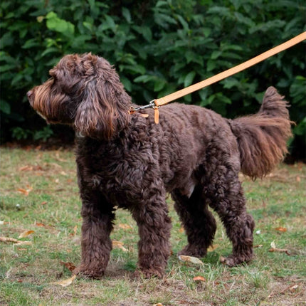 Timberwolf Leather Lead