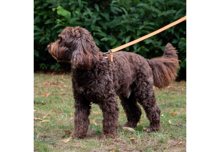 Timberwolf Leather Lead