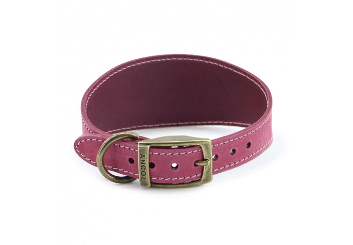 Timberwolf Greyhound Collar