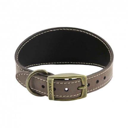 Timberwolf Greyhound Collar