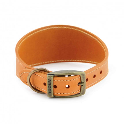 Timberwolf Greyhound Collar
