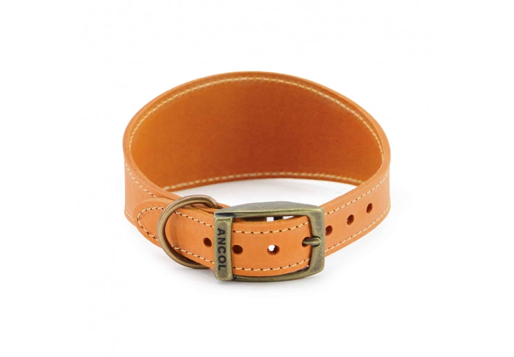 Timberwolf Greyhound Collar