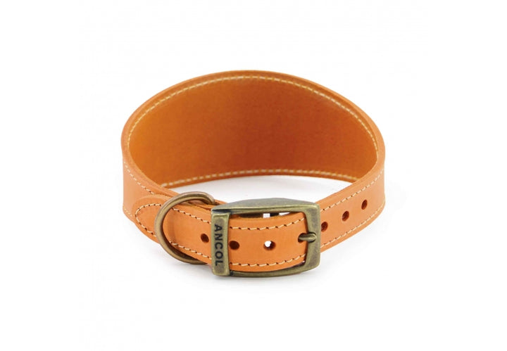Timberwolf Greyhound Collar