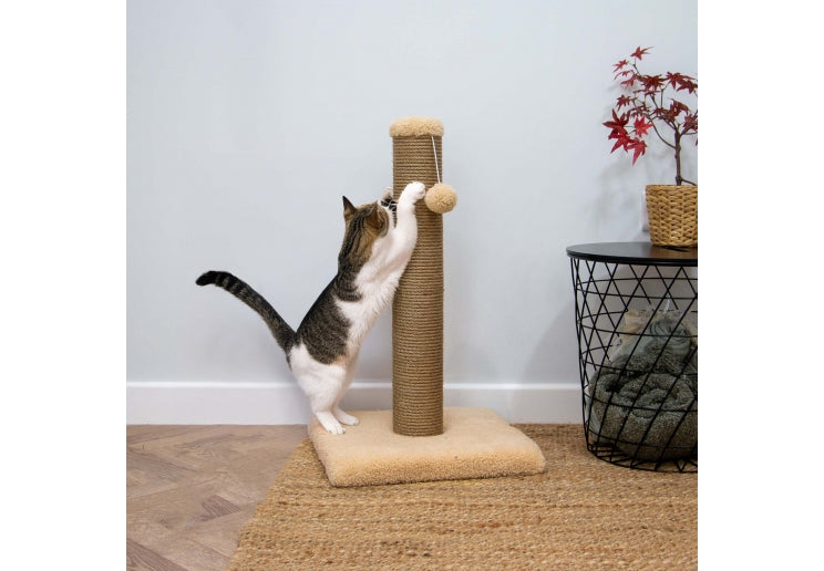 Ancol Cat Scratcher