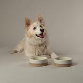 Scruffs Scandi Non Tip Bowl