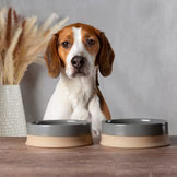 Scruffs Scandi Non Tip Bowl
