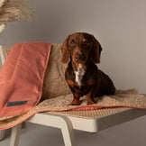 Scruffs Snuggle Pet Blanket