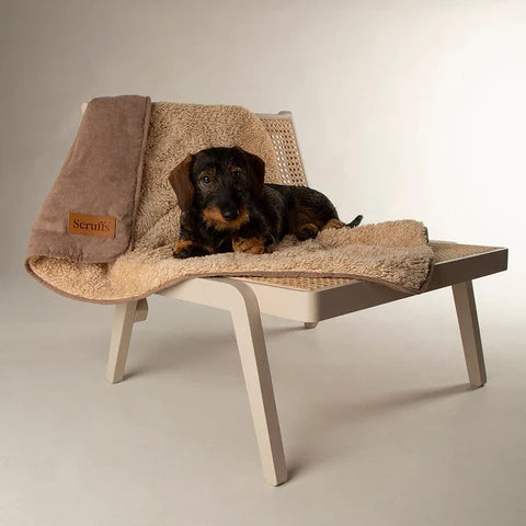 Scruffs Snuggle Pet Blanket