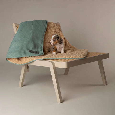 Scruffs Snuggle Pet Blanket