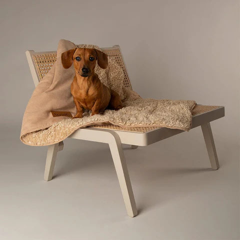 Scruffs Snuggle Pet Blanket