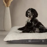 Scruffs Eco Eden Pillow