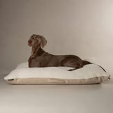 Scruffs Eco Eden Pillow