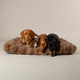 Scruffs Alpine Mattress