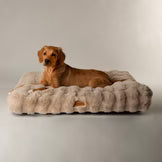 Scruffs Alpine Mattress
