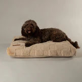Scruffs Oxford Orthopaedic Mattress