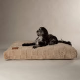 Scruffs Oxford Orthopaedic Mattress