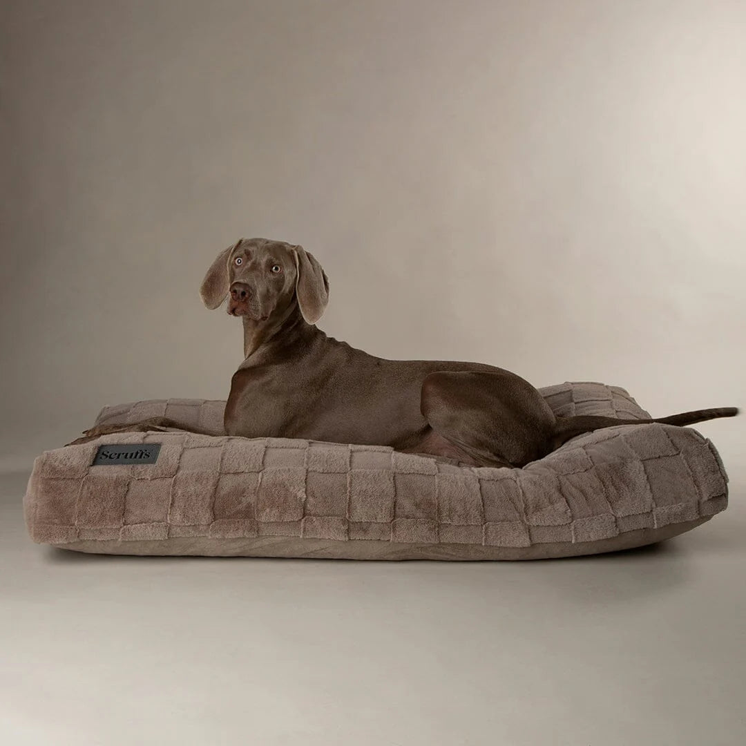 Scruffs Oxford Collection Bed Grey
