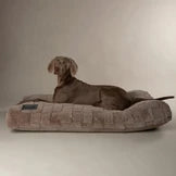 Scruffs Oxford Orthopaedic Mattress