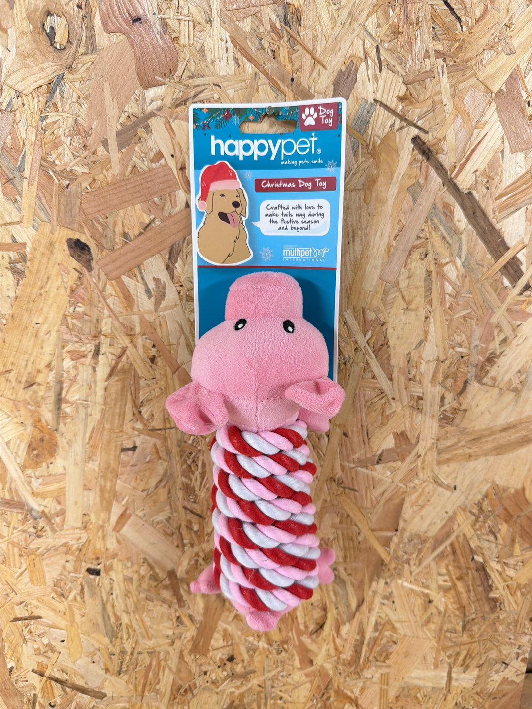 Happy Pet Pig in a Rope Blanket