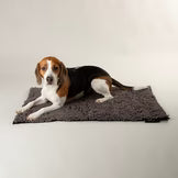 Scruffs Noodle Dry Mat