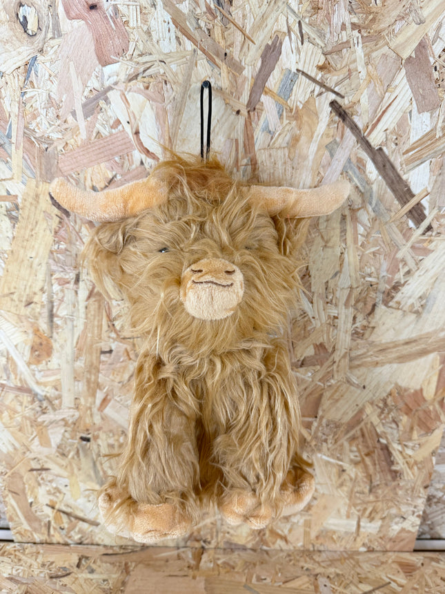 Happy Pet Highland Cow