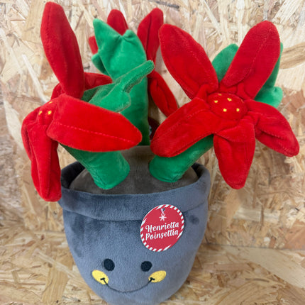 Ancol Henrietta Poinsettia