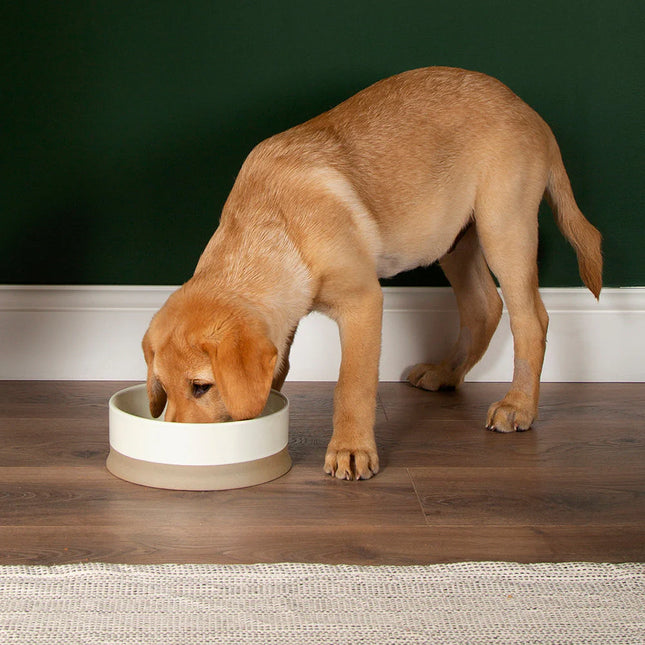 Scruffs Scandi Non Tip Bowl