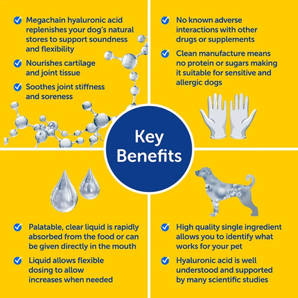 Zooomy Hyaluronic Acid Joint Care for Dogs