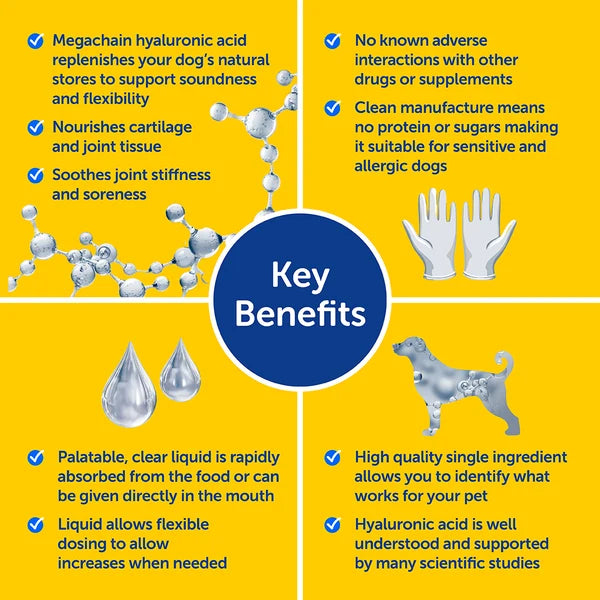 Zooomy Hyaluronic Acid Joint Care for Dogs