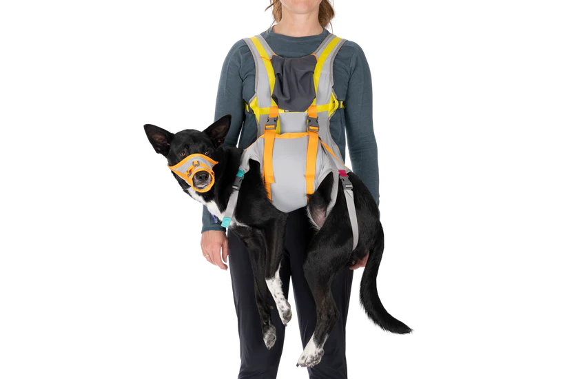 Ruffwear BackTrak Dog Evacuation Kit