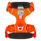 Blaze Orange / XX-Small