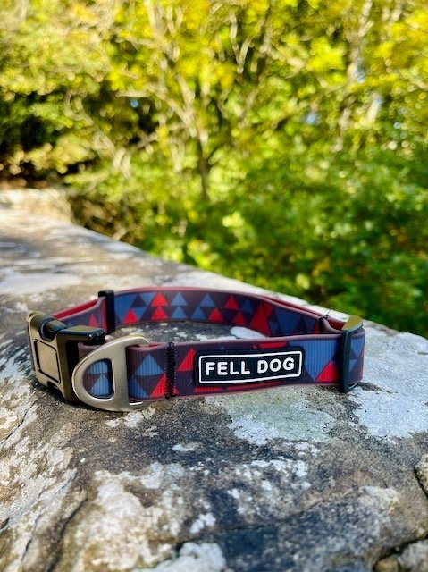 Fell Dog Drench Collar