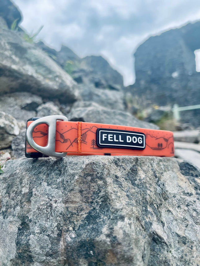 Fell Dog Drench Collar