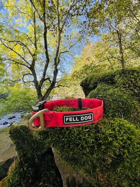 Fell Dog Drench Collar