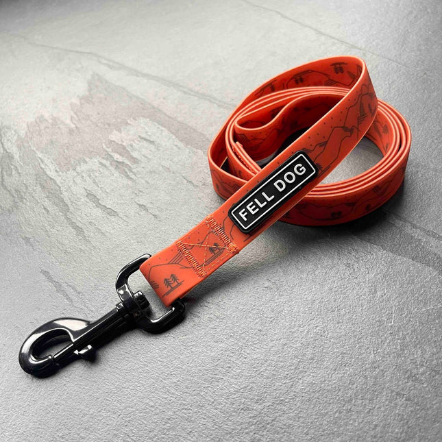 Fell Dog Drench Lead