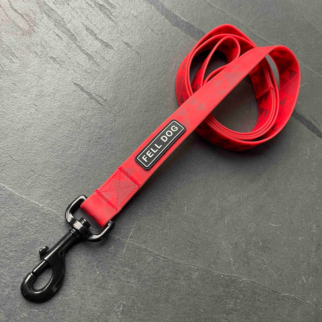 Fell Dog Drench Lead