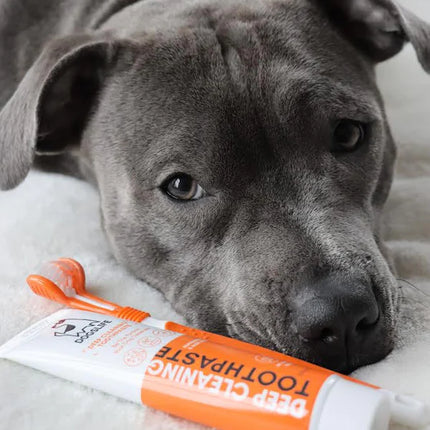 DogsLife Dog Deep Cleaning Toothpaste