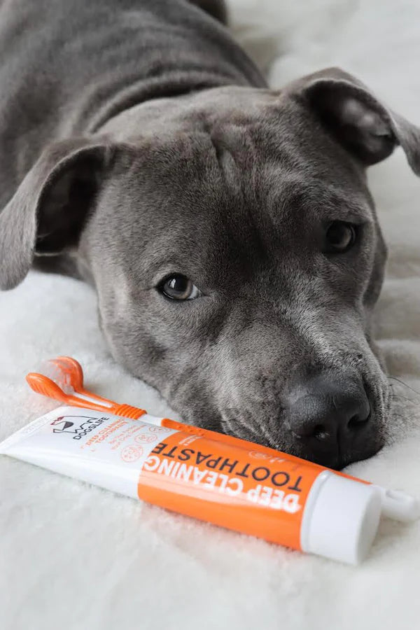 DogsLife Dog Deep Cleaning Toothpaste