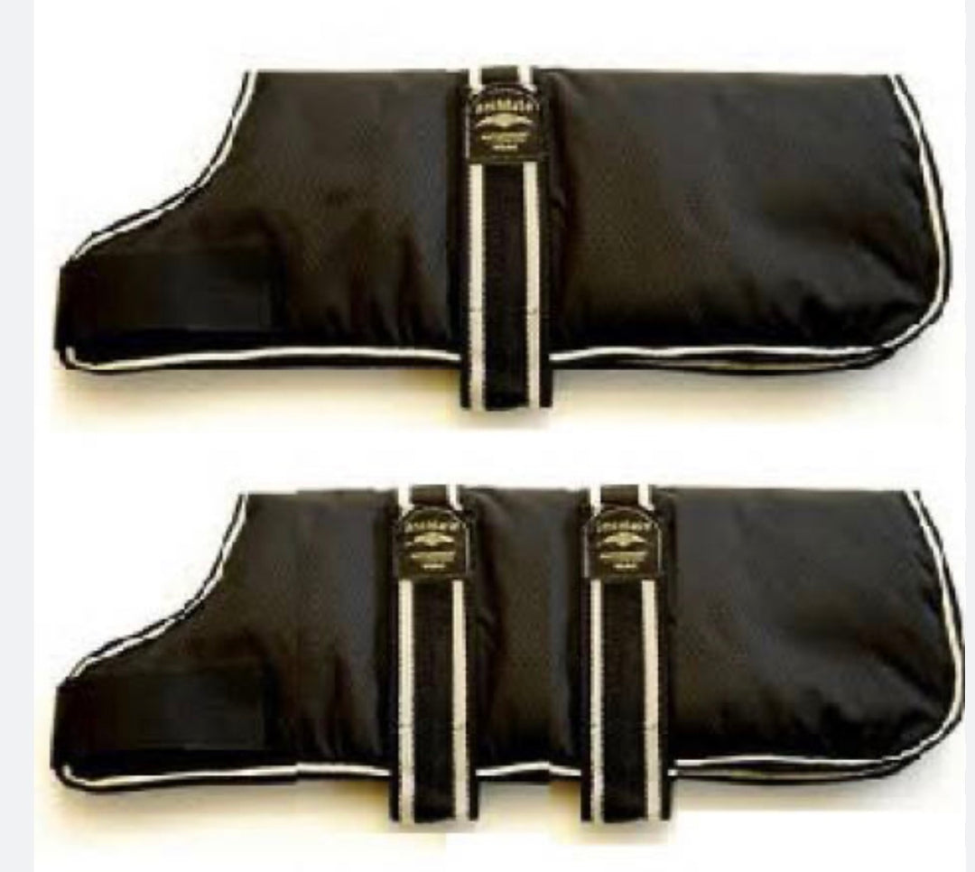 Animate Black Padded Nylon Dog Coat