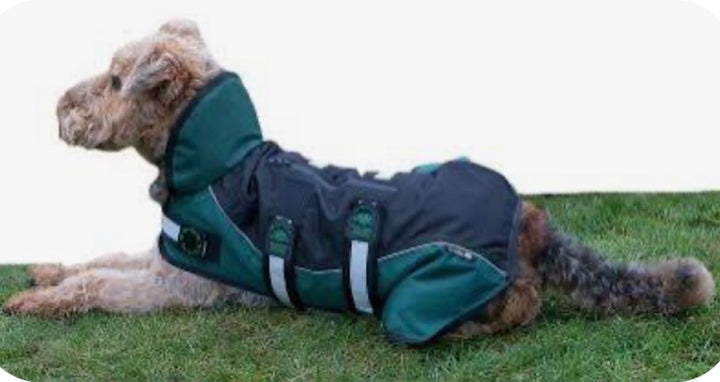Animate Black/Green Unpadded Harness Coat