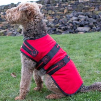 Animate Red-line Padded Dog Coat