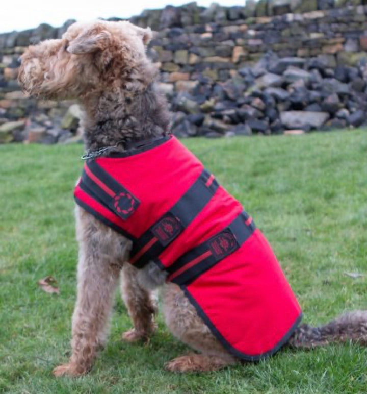 Animate Red-line Padded Dog Coat