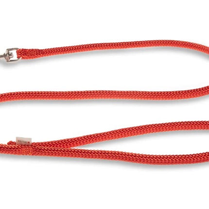 WOLTERS K2 Rope Programme City Lead