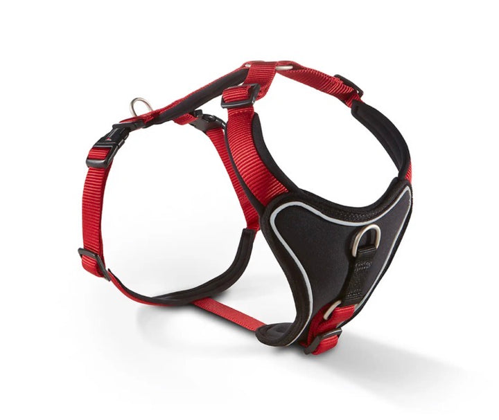 WOLTERS Professional Comfort Harness