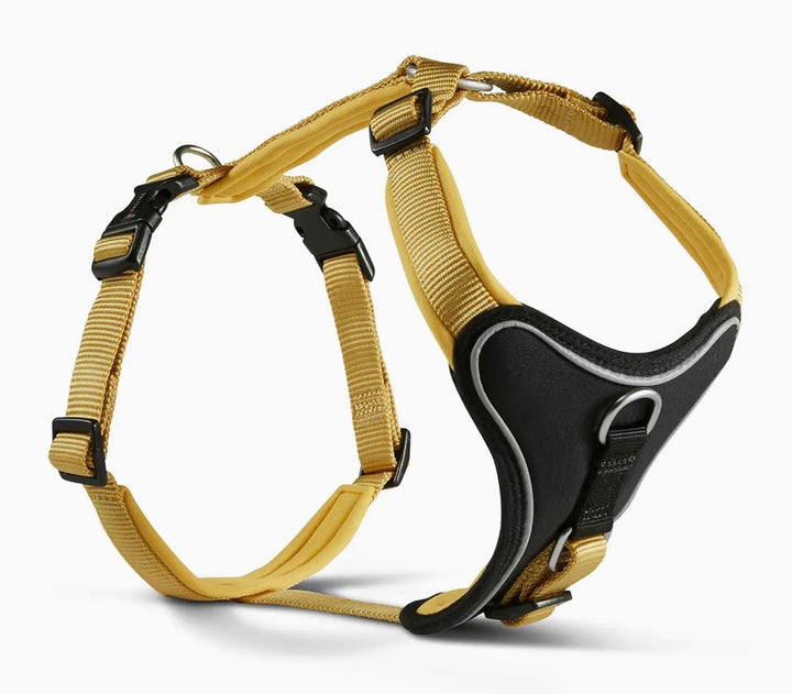 WOLTERS Professional Comfort Harness