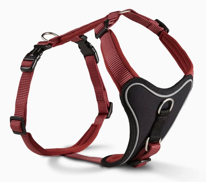 WOLTERS Professional Comfort Harness