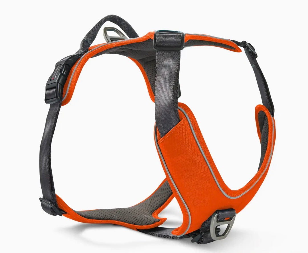 WOLTERS Active Pro Comfort Harness