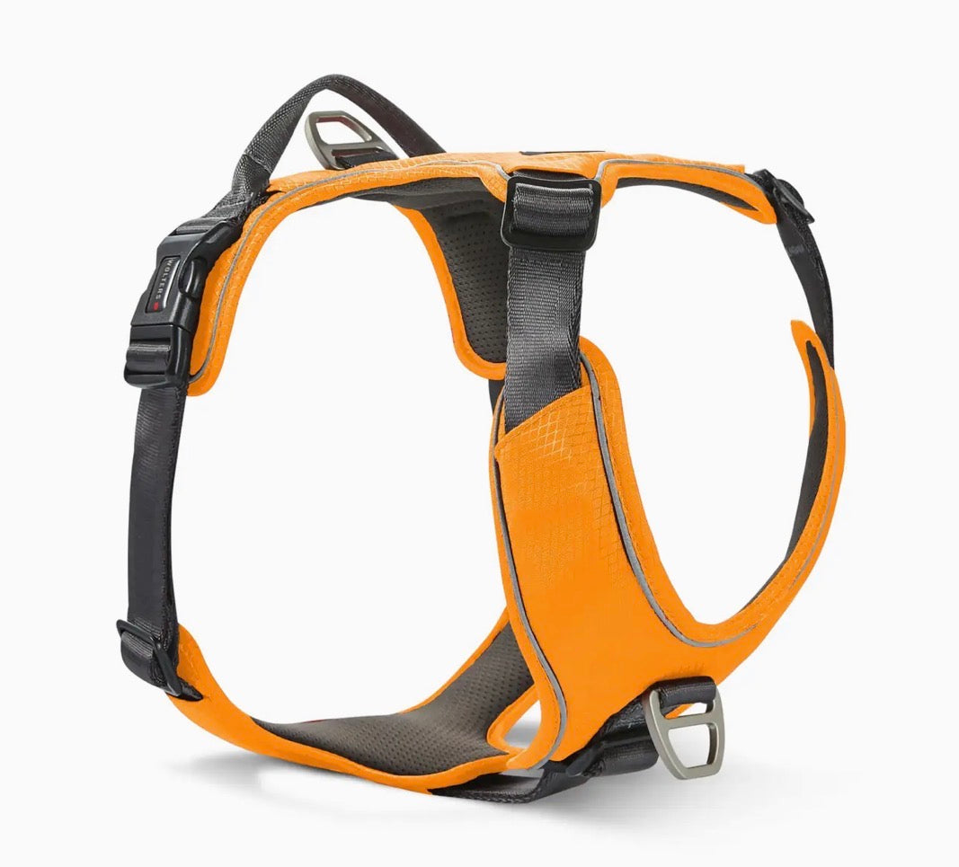 WOLTERS Active Pro Comfort Harness